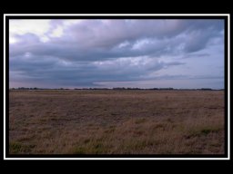 IMGP2876-Aftenstemning-over-Kongenshus